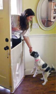 Keeps dogs and cats from escaping